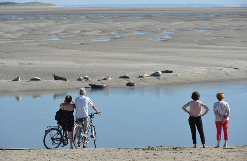 Hamac Chic Vue Mer. Berck Eksteriør billede